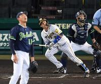 　６回、左越えへ先制ソロを放つ阪神・梅野。投手はヤクルト・奥川（撮影・田中太一）