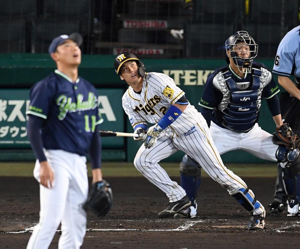　６回、左越えへ先制ソロを放つ阪神・梅野。投手はヤクルト・奥川（撮影・田中太一）
