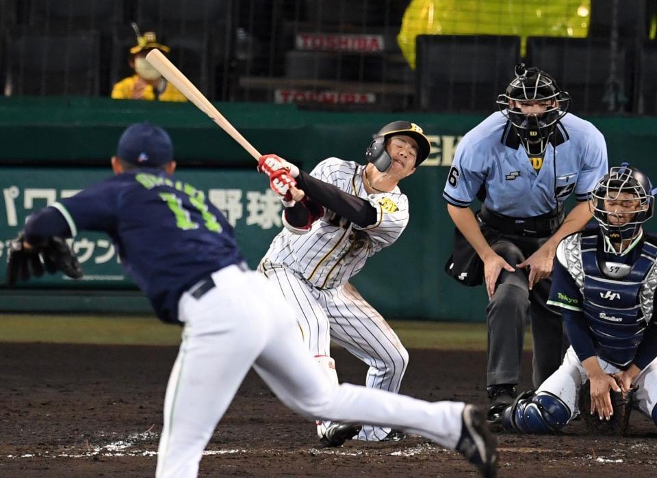　７回、空振り三振に倒れる阪神・中野（撮影・田中太一）