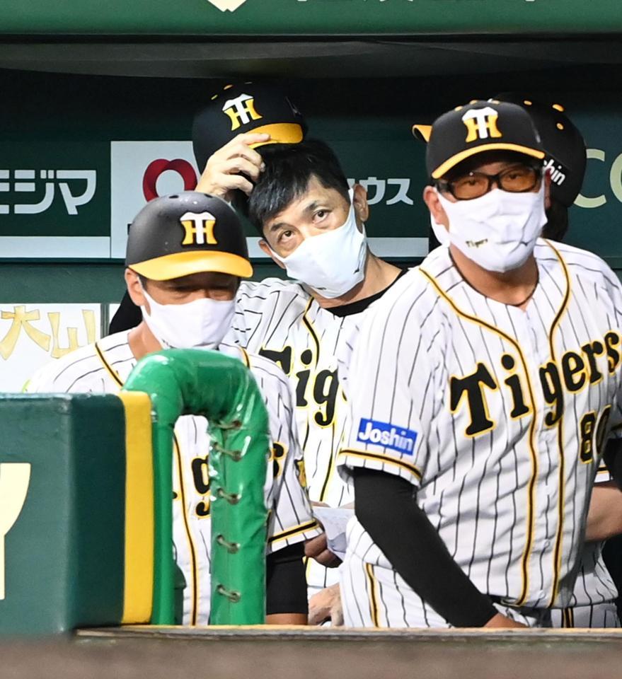 　ベンチから戦況を見守る阪神・矢野監督（撮影・飯室逸平）