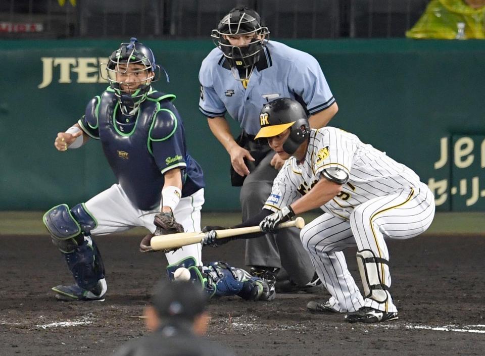 　８回、送りバントを失敗し、併殺に倒れる阪神・小野寺（撮影・田中太一）