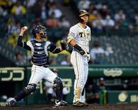 　２回、阪神・佐藤輝は空振り三振に倒れる（撮影・山口登）