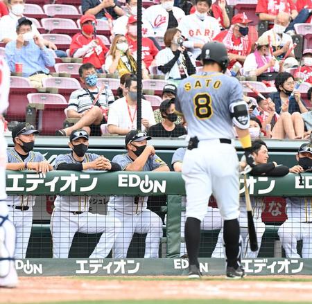 　９回、ベンチから戦況を見守る矢野監督（左から２人目）＝撮影・飯室逸平