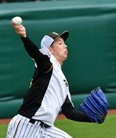 　キャッチボールをする阪神・青柳（撮影・佐々木彰尚）