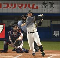 ８回、適時打を放つ大山＝神宮球場（撮影・高石航平）