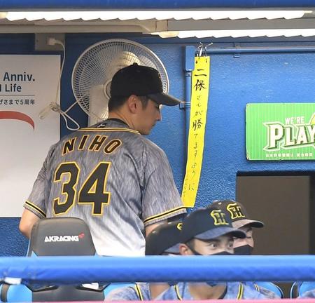 　応援の短冊もむなしくヤクルト打線につかまりベンチでがっくりの二保（撮影・金田祐二）