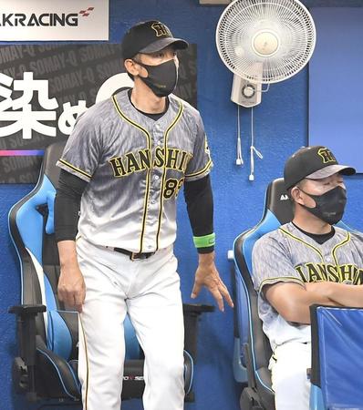 　ベンチでがっくりの矢野監督（撮影・金田祐二）