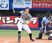 　４回、同点２ランを放つ佐藤輝（撮影・高石航平）