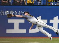 　６回、川端の打球を好捕するサンズ（撮影・飯室逸平）