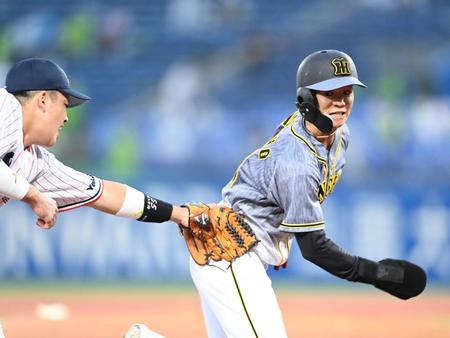 　３回、近本の投ゴロで飛び出し、挟殺される中野（撮影・飯室逸平）