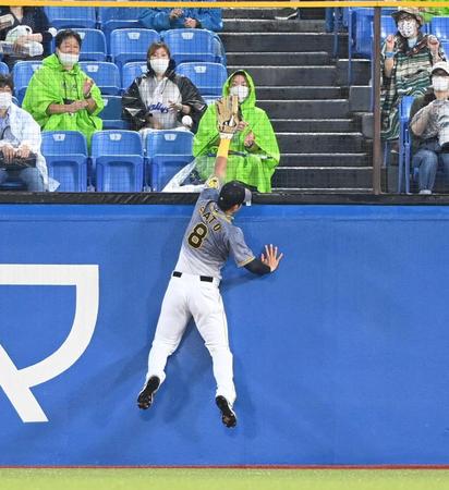 　４回、佐藤輝は村上の打球を懸命に追うも一歩及ばず（撮影・飯室逸平）