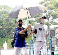 　相合い傘で歩く高津監督と石川（撮影・金田祐二）