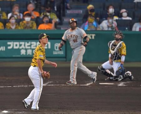 　３回、ウィーラーにソロを浴びる伊藤将。捕手・梅野（撮影・神子素慎一）