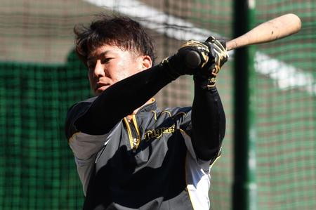 　打撃練習をする陽川（撮影・佐々木彰尚）