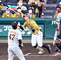 　２回、遊飛に倒れる佐藤輝（撮影・飯室逸平）