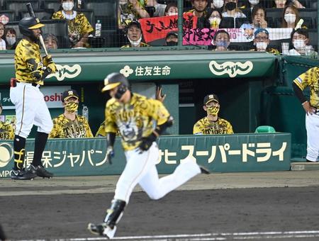 　６回、厳しい表情で戦況を見守る矢野監督（撮影・飯室逸平）