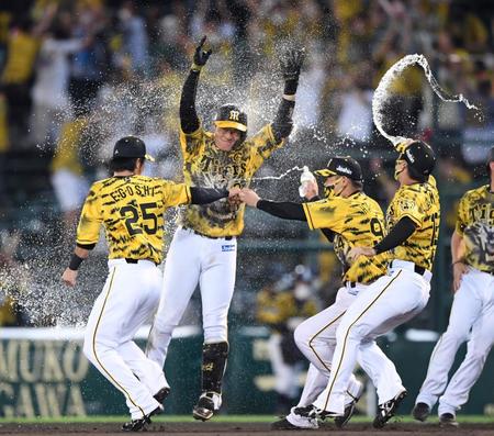 　９回、サヨナラ打を放った大山はナインから手荒い祝福を受け歓喜のバンザイ！（撮影・田中太一）