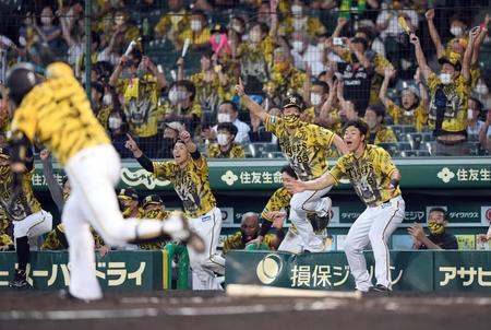 　９回、大山（手前）がサヨナラ打を放つとベンチから飛び出して歓喜する佐藤輝（右）らナイン（撮影・田中太一）