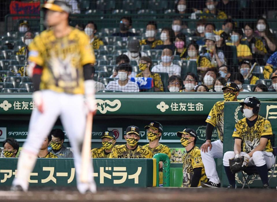 　８回、中野（手前）が見逃し三振に倒れ、ベンチで厳しい表情を浮かべる矢野監督（撮影・田中太一）