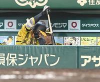 ８回、ベンチでバットを叩きつけ悔しがる佐藤輝＝甲子園（撮影・飯室逸平）
