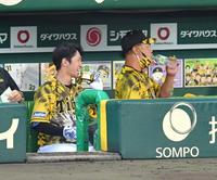 ３回、右越えにソロを放ちメダルをもらった近本は、ベンチで笑顔でメダルをかじる＝甲子園球場（撮影・吉澤敬太）