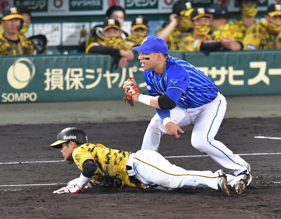 ５回、牽制にさされる一走・中野＝甲子園球場（撮影・吉澤敬太）