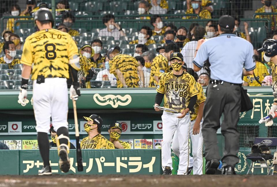 ８回、佐藤輝（８）が空振り三振に倒れ、選手交代のためベンチを出る矢野監督（右）＝甲子園（撮影・飯室逸平）