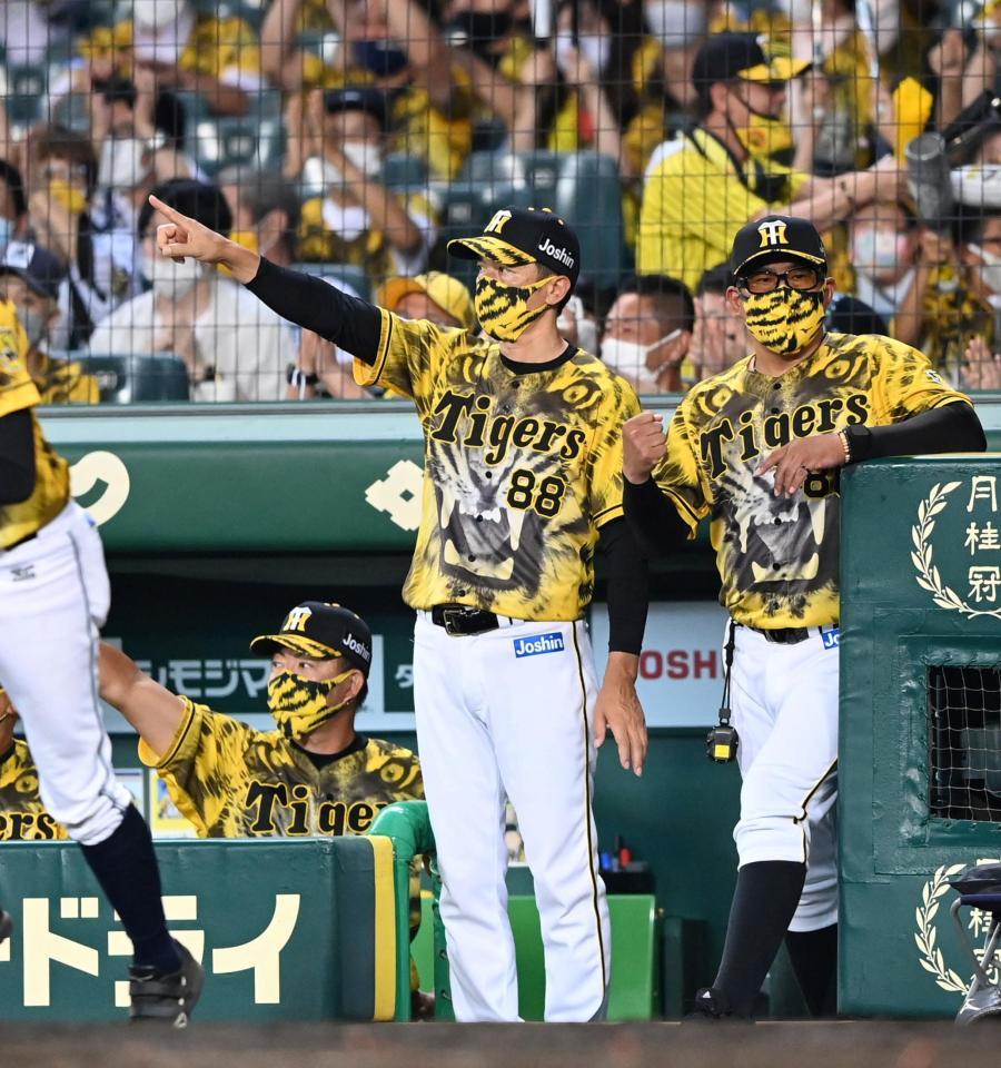 ８回、糸原のタイムリーに湧く矢野監督ら＝甲子園（撮影・飯室逸平）