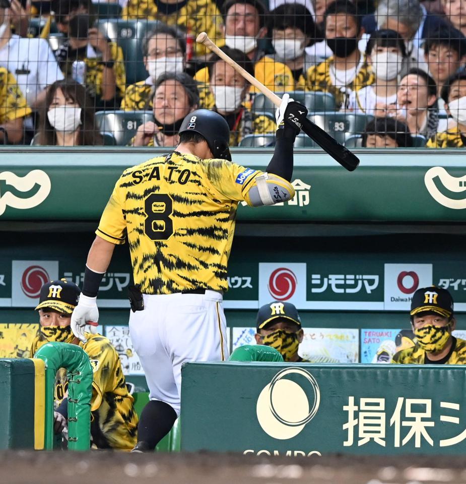 ８回、空振り三振に倒れ、悔しそうにベンチへ戻る佐藤輝＝甲子園（撮影・飯室逸平）