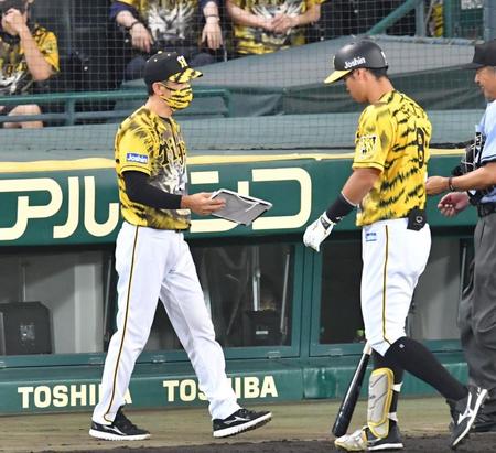 　８回、空振り三振に倒れた佐藤輝（右）を横目に交代を告げる矢野監督