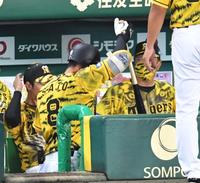 　８回、三振に倒れ、ベンチでたたきつけるようにバットをしまう佐藤輝（８）