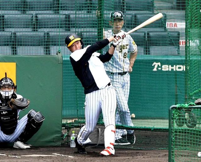 阪神 矢野監督 仙台から 直行 指導 ４番復活へ大山に身ぶり手ぶりの１０分間 阪神タイガース デイリースポーツ Online