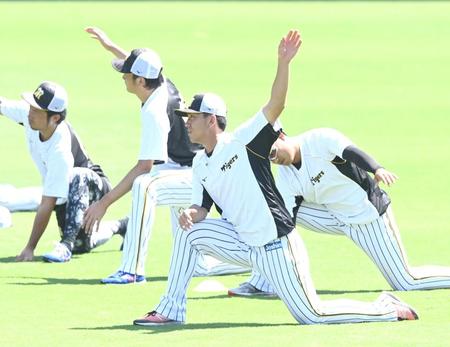 　練習に汗を流す伊藤将