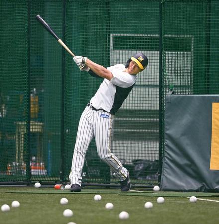 　打撃練習に励む佐藤輝