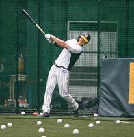 　打撃練習に励む佐藤輝