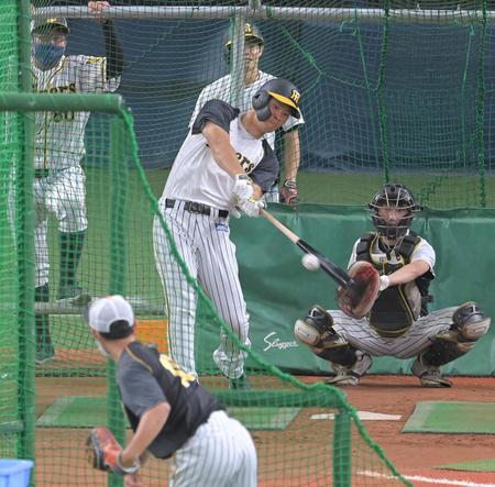 　試合前、フリー打撃で快音を響かせる佐藤輝（撮影・高部洋祐）