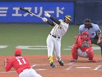 　２回、右前打を放つロハス（撮影・高部洋祐）