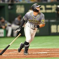 　３回、右越えソロを放つ佐藤輝（撮影・西岡正）