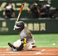 ８回、勝ち越しとなる死球を受けるロハス＝東京ドーム（撮影・西岡正）