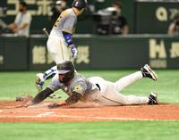 　５回、ワイルドピッチで生還するロハス（撮影・西岡正）