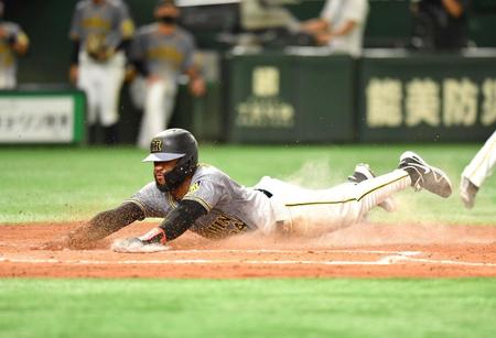 　５回、暴投で同点の生還を果たしたロハス（撮影・西岡正）