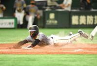 　５回、暴投で同点の生還を果たしたロハス（撮影・西岡正）