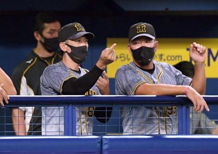 ４回、馬場が追加点を許す中、ベンチで井上と話し込む阪神・矢野監督＝バンテリンドーム（撮影・田中太一）