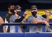 ４回、馬場が追加点を許す中、ベンチで井上と話し込む阪神・矢野監督＝バンテリンドーム（撮影・田中太一）