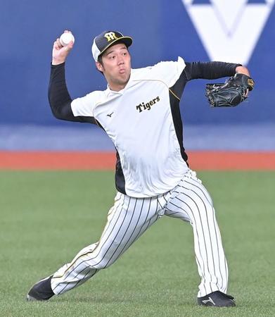 試合前、キャッチボールをする青柳（撮影・高部洋祐）