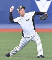 試合前、キャッチボールをする青柳（撮影・高部洋祐）