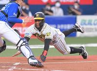 　２回、木浪の先制打で本塁にヘッドスライディングするロハス（撮影・高部洋祐）