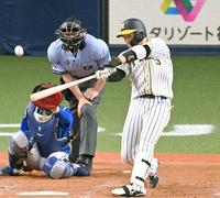 　５回、１４号２ランを放つ大山（撮影・飯室逸平）