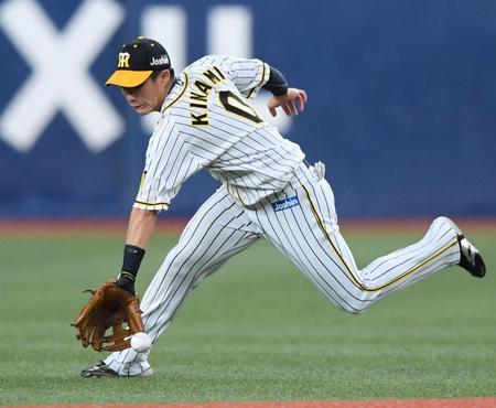 　４回、牧の打球を好捕する木浪（撮影・田中太一）