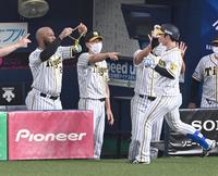 １回、先制ソロを放った近本を迎える矢野監督（中央）、ロハス（左）ら＝京セラドーム（撮影・飯室逸平）